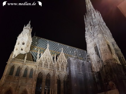 Wien bei Nacht - Dom